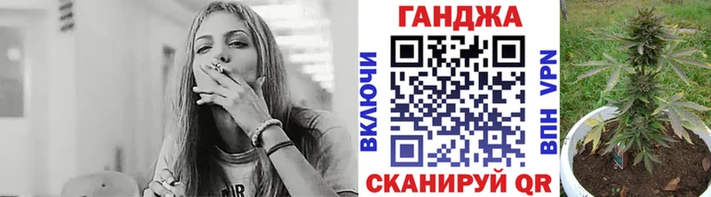 Конопля гибрид Обнинск